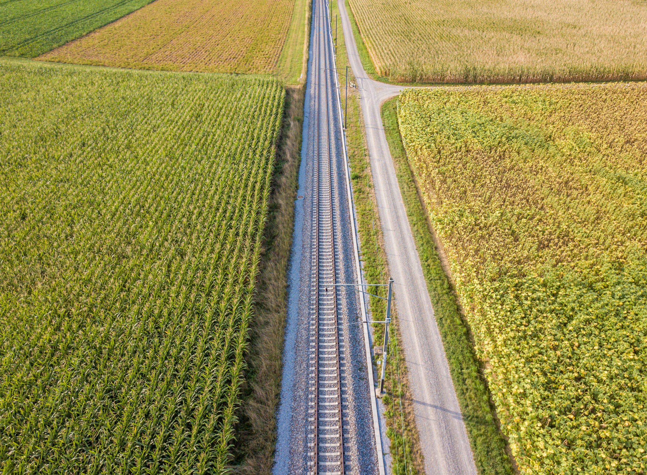 Crop rotation