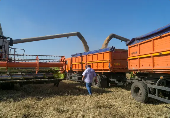 Ukraine’s Agro-Economy Thrives secondary