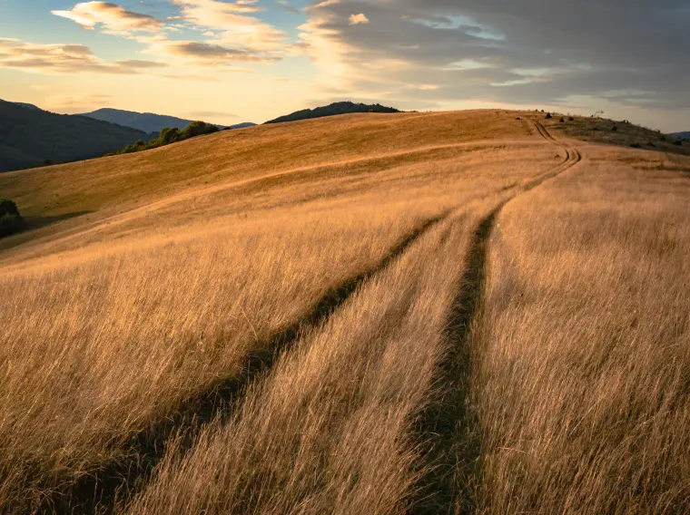 Ukraine’s Agro-Economy Thrives